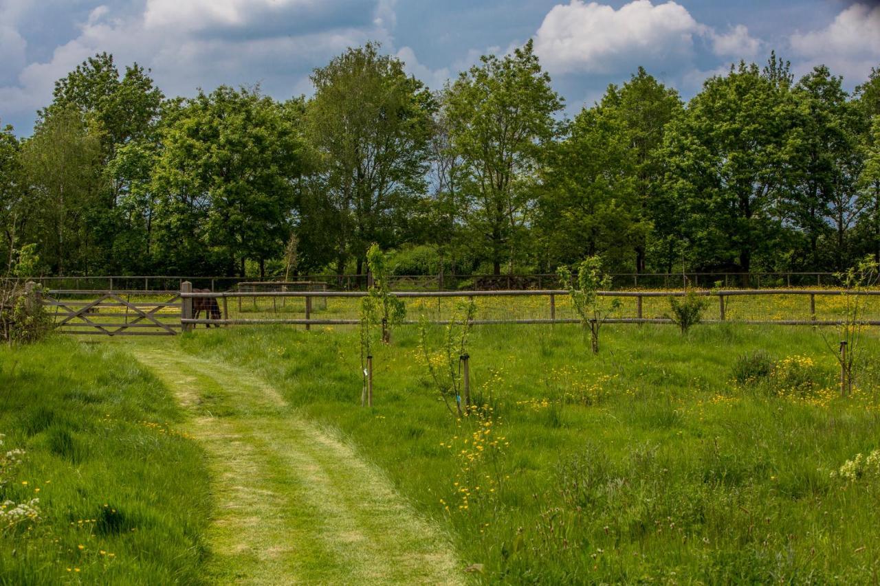 The Cowsheds Villa Brinkworth Екстериор снимка